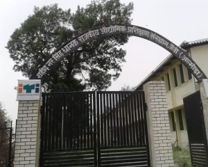 WhatsApp Image 2025-06-26 at 1.09.51 PM (1)